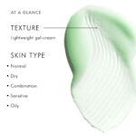 SkinCeuticals Phyto A+ Brightening Treatment Корректирующий гель-крем против несовершенств кожи 30 мл — изображение 2